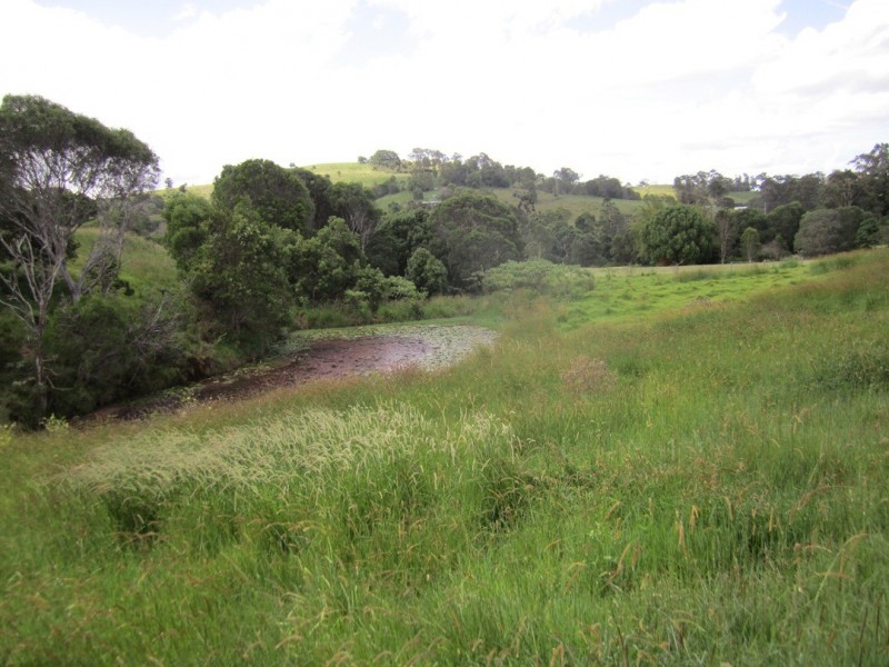 Cooran QLD 4569