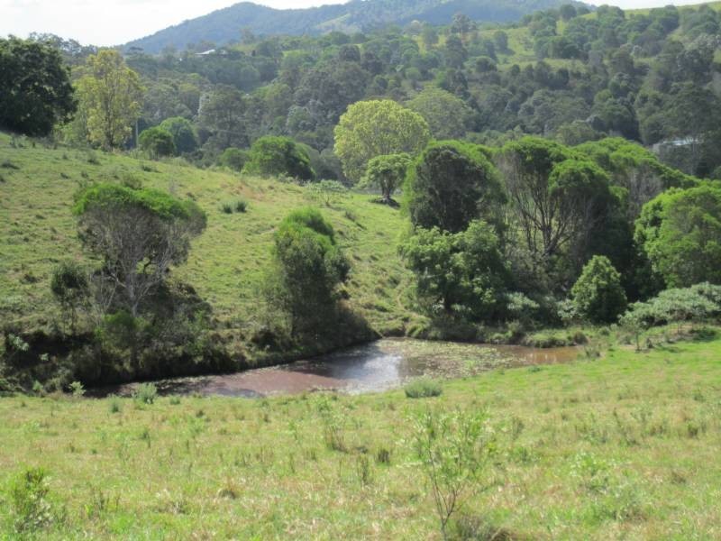 Cooran QLD 4569