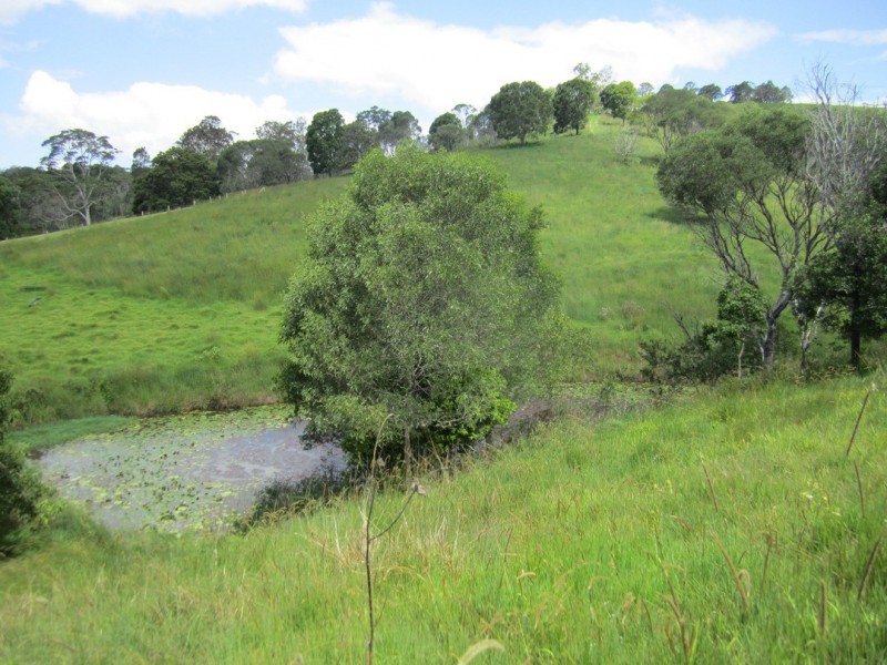 Cooran QLD 4569