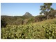 Cooran QLD 4569