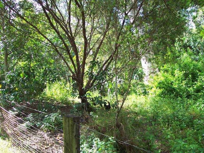96 Green Gate Road, Cooroibah QLD 4565
