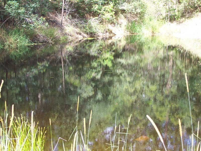 239 Coles Creek Road, Cooran QLD 4569