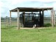 2338 Bruce Highway, Gunalda QLD 4570