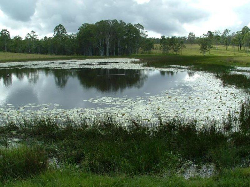 2338 Bruce Highway, Gunalda QLD 4570