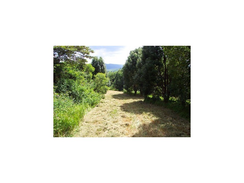 25 Sallwood Court, Pomona QLD 4568