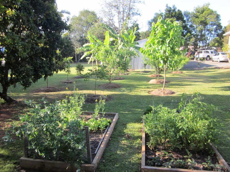 47 Pavilion Street, Pomona QLD 4568