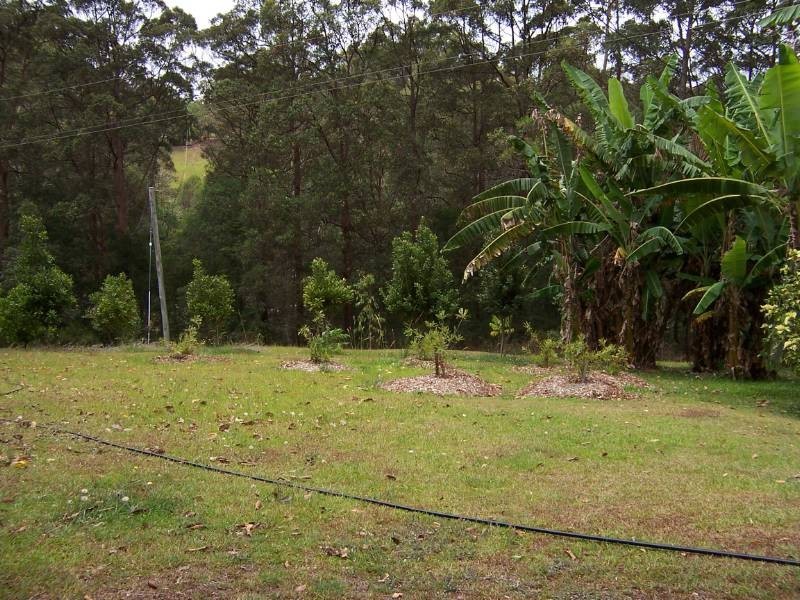 56 Driers Road, Cooran QLD 4569