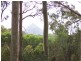 56 Driers Road, Cooran QLD 4569