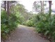 56 Driers Road, Cooran QLD 4569