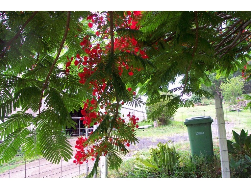 6 Red Street, Pomona QLD 4568