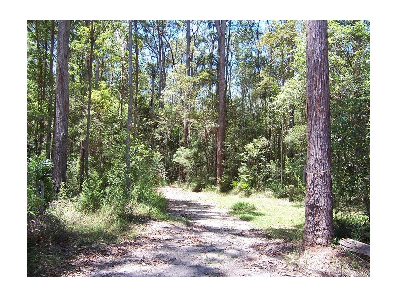 436 Lake Flat Road, Cootharaba QLD 4565