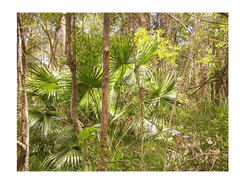 436 Lake Flat Road, Cootharaba QLD 4565