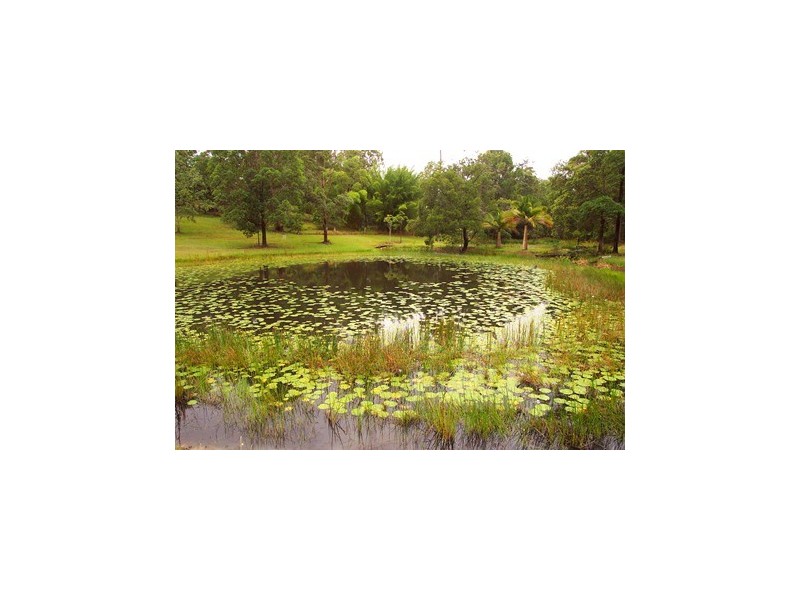 80 Hawk Road, Pomona QLD 4568