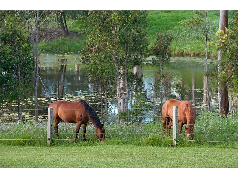 838 Traveston Cooran Road, Cooran QLD 4569