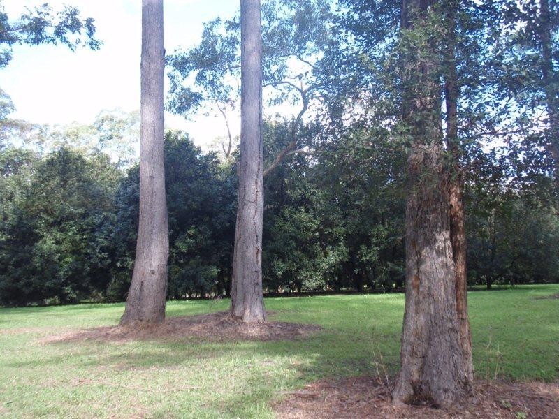 100 Station Street, Pomona QLD 4568