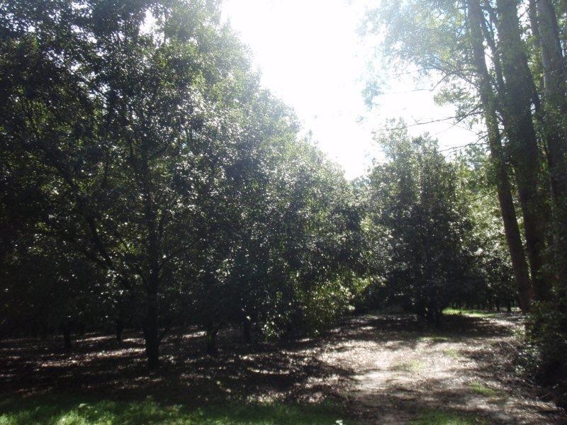 100 Station Street, Pomona QLD 4568