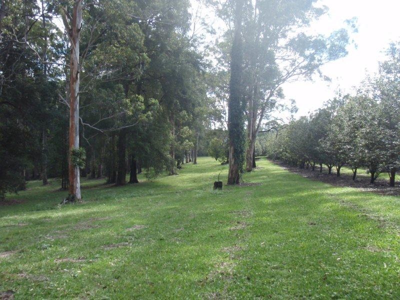 100 Station Street, Pomona QLD 4568