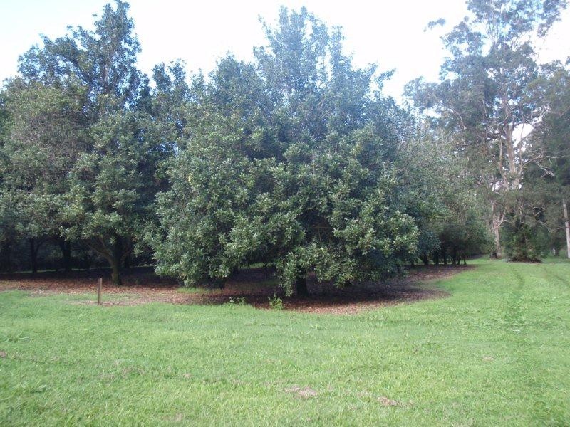 100 Station Street, Pomona QLD 4568