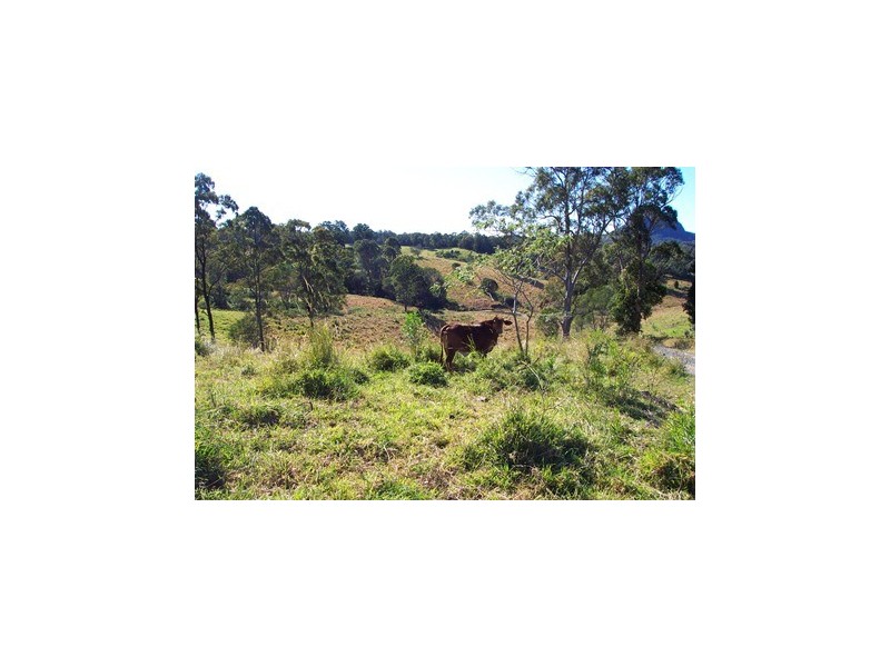 100 Schreibers Road, Cooran QLD 4569