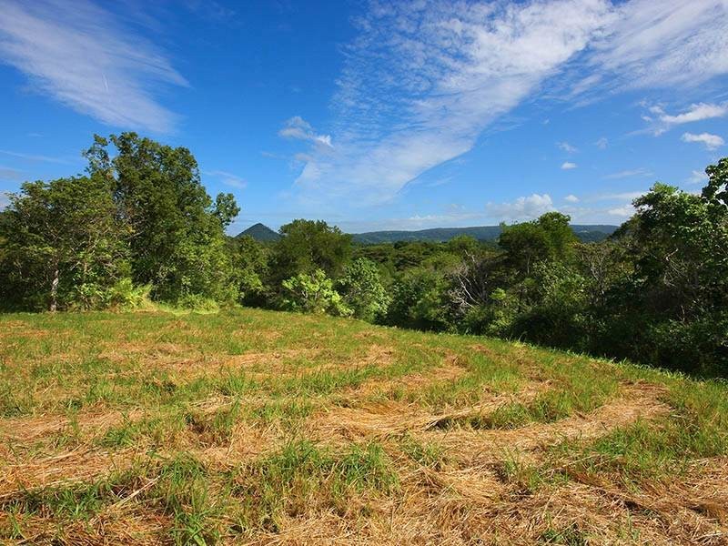 309 Black Pinch Road, Pomona QLD 4568