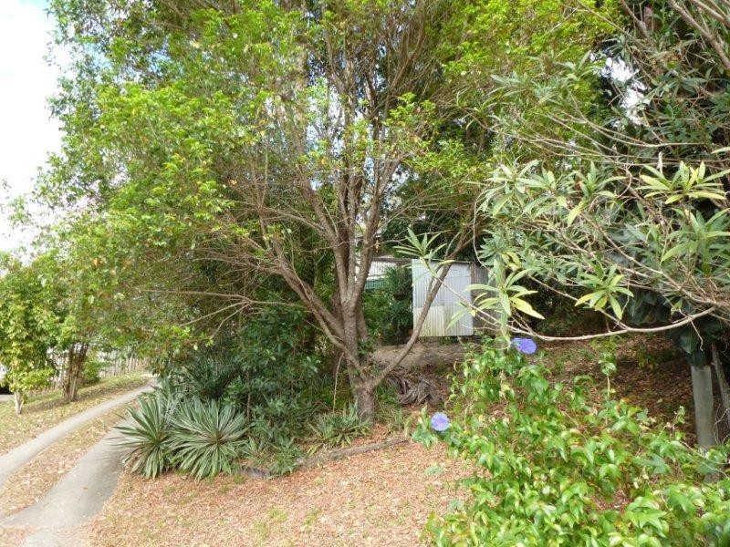 19 Edward Street, Cooran QLD 4569