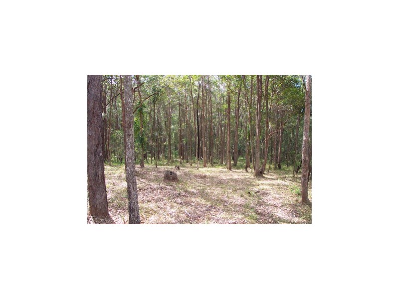 43 Mountain Street, Pomona QLD 4568