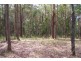 43 Mountain Street, Pomona QLD 4568