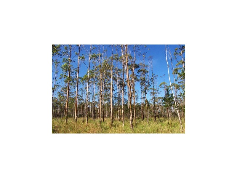 32 Cootharaba Downs Road, Cootharaba QLD 4565