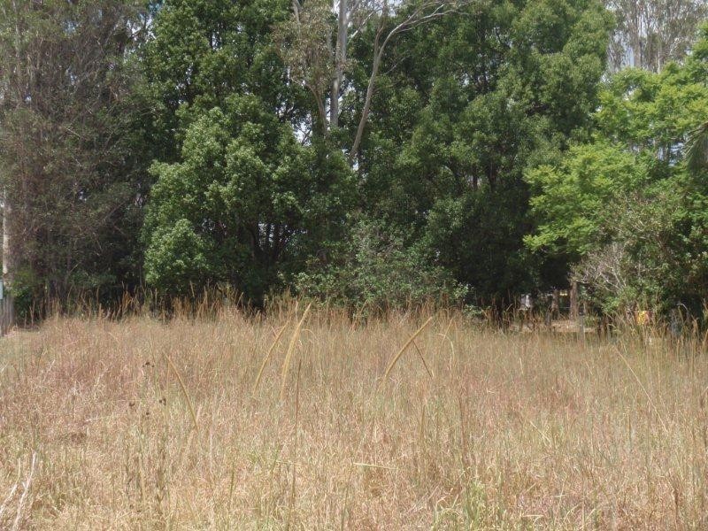 1399 Greenridge-Pinbarren, Pinbarren QLD 4568