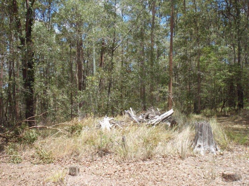 41 Reserve Street, Pomona QLD 4568