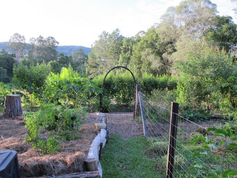 16 Queen, Cooran QLD 4569