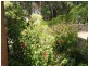 243 RICHMOND RD, Morningside QLD 4170