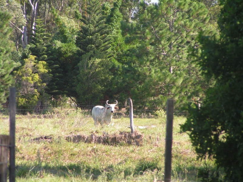 14 BURNBY ROAD, Hemmant QLD 4174