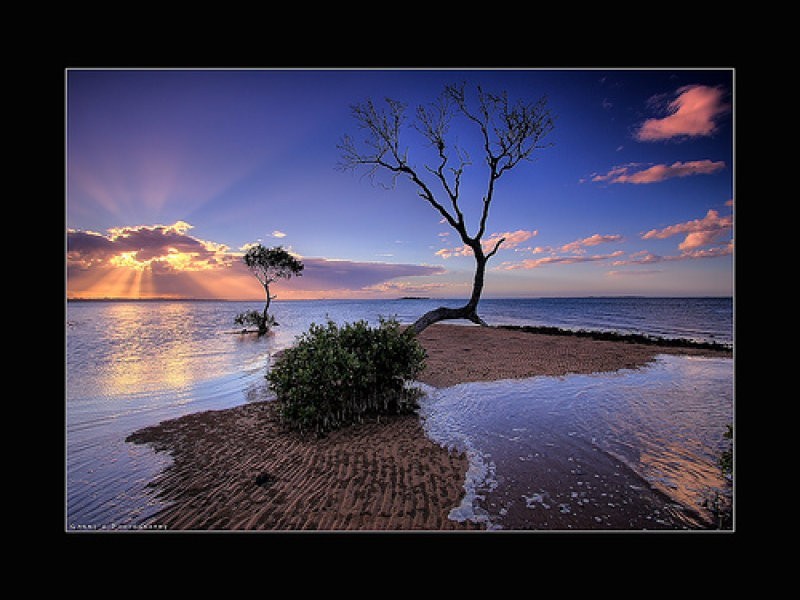 544 main rd, Wellington Point QLD 4160