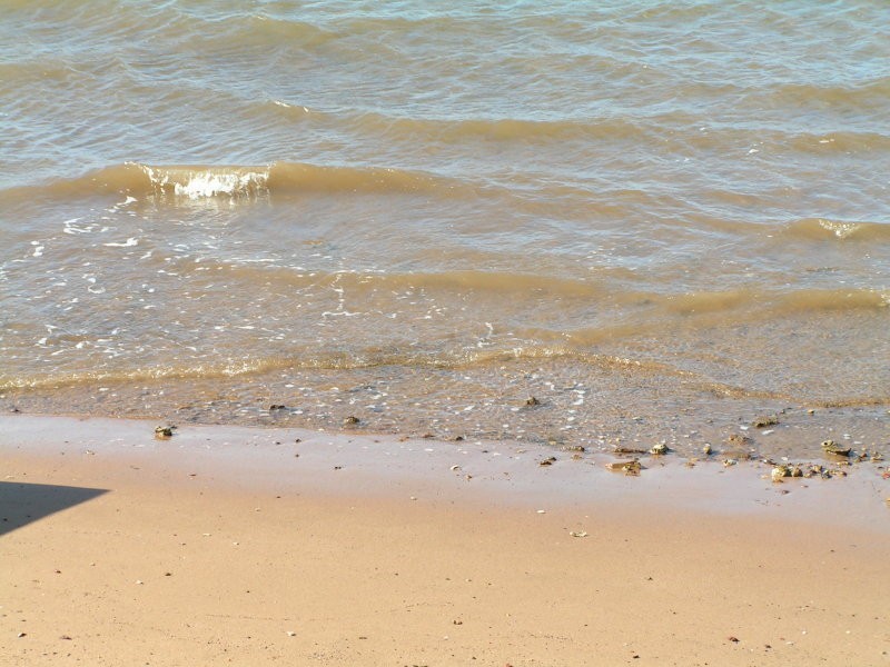 133 PICTON PARADE, Wynnum QLD 4178