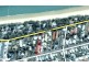 Torquay QLD 4655