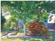 88 EMPIRE AV, Manly West QLD 4179