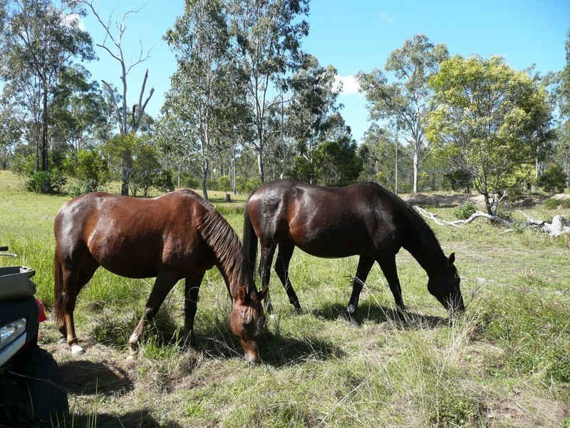 Booyal QLD 4671