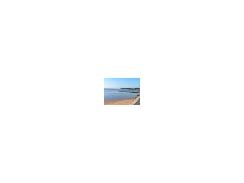 15 Arnold Street, Manly QLD 4179