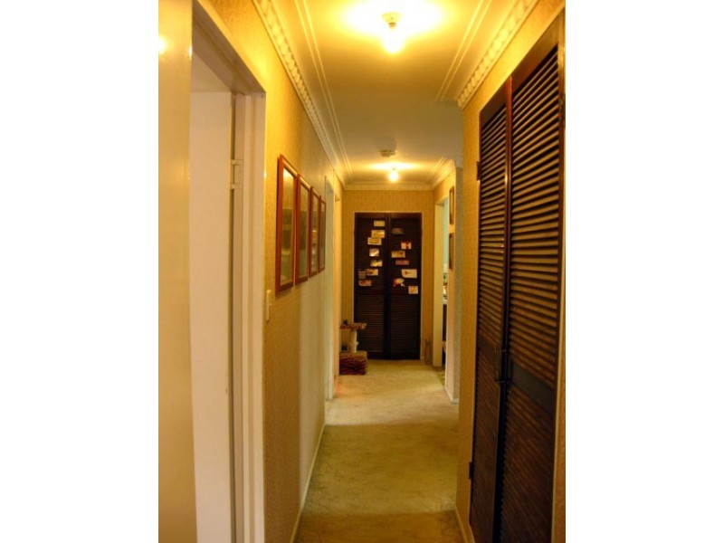 76 Lancaster Street, Coorparoo QLD 4151