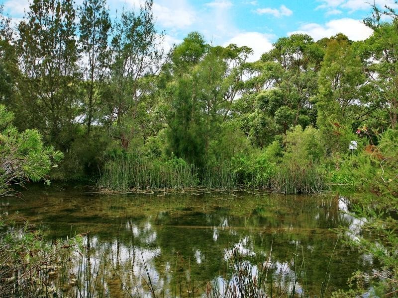 1 Wolbah Place, Cromer NSW 2099