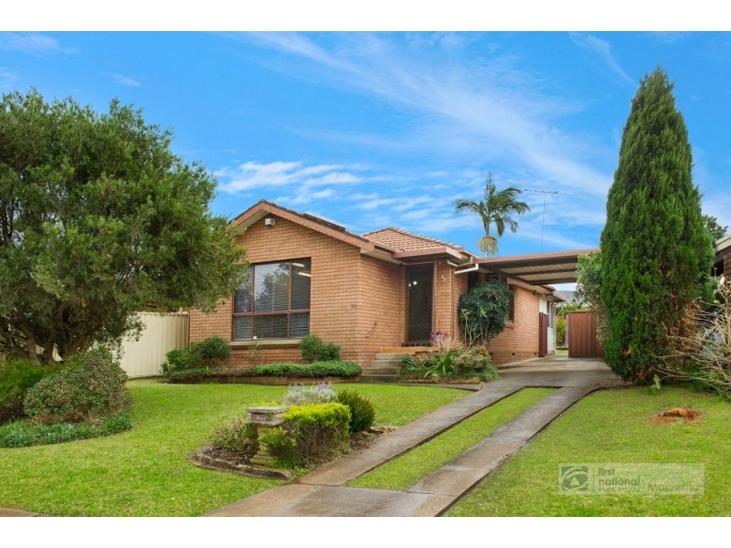 39 Cochrane Street, Minto NSW 2566