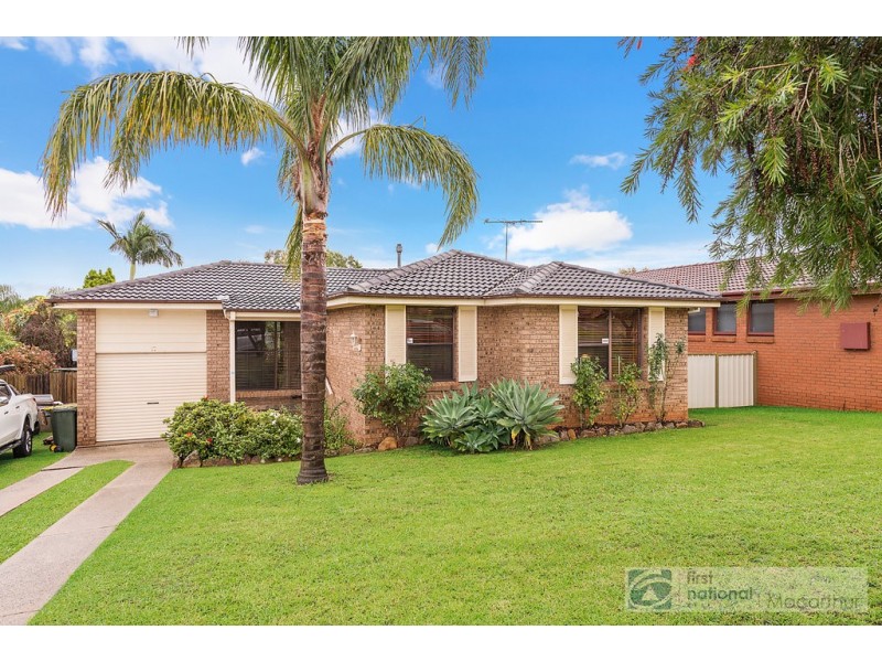17 Hewitt Place, Minto NSW 2566