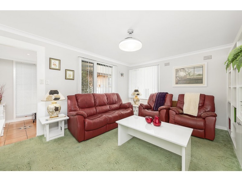 7 Davidson Place, Airds NSW 2560