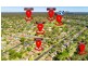 46 Leichhardt Street, Ruse NSW 2560
