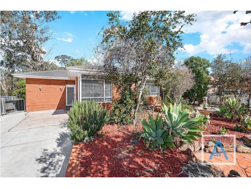 20 Raymond Avenue, Campbelltown NSW 2560