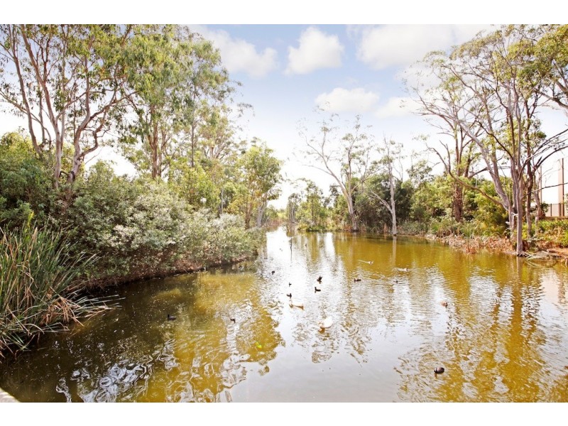 Blair Athol NSW 2560