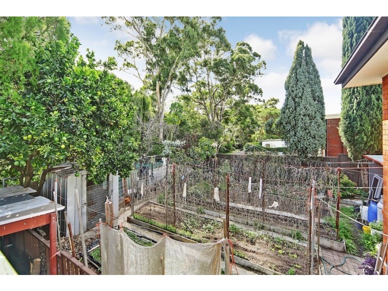 Campbelltown NSW 2560