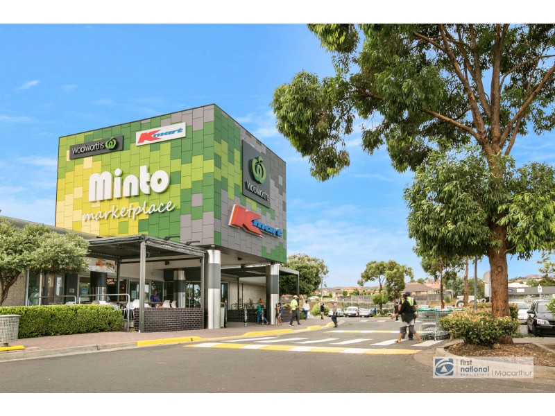 40 Ohlfsen Road, Minto NSW 2566