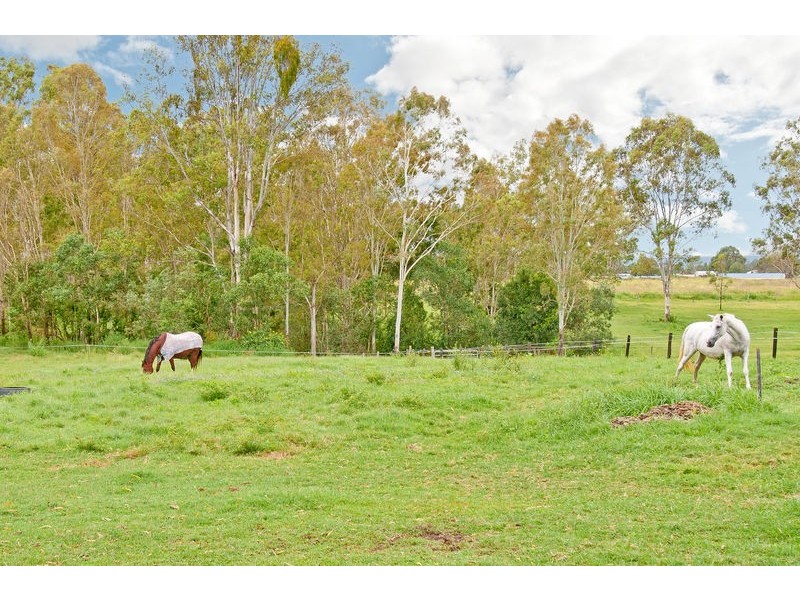 185 Candlebark Road, Jimboomba QLD 4280